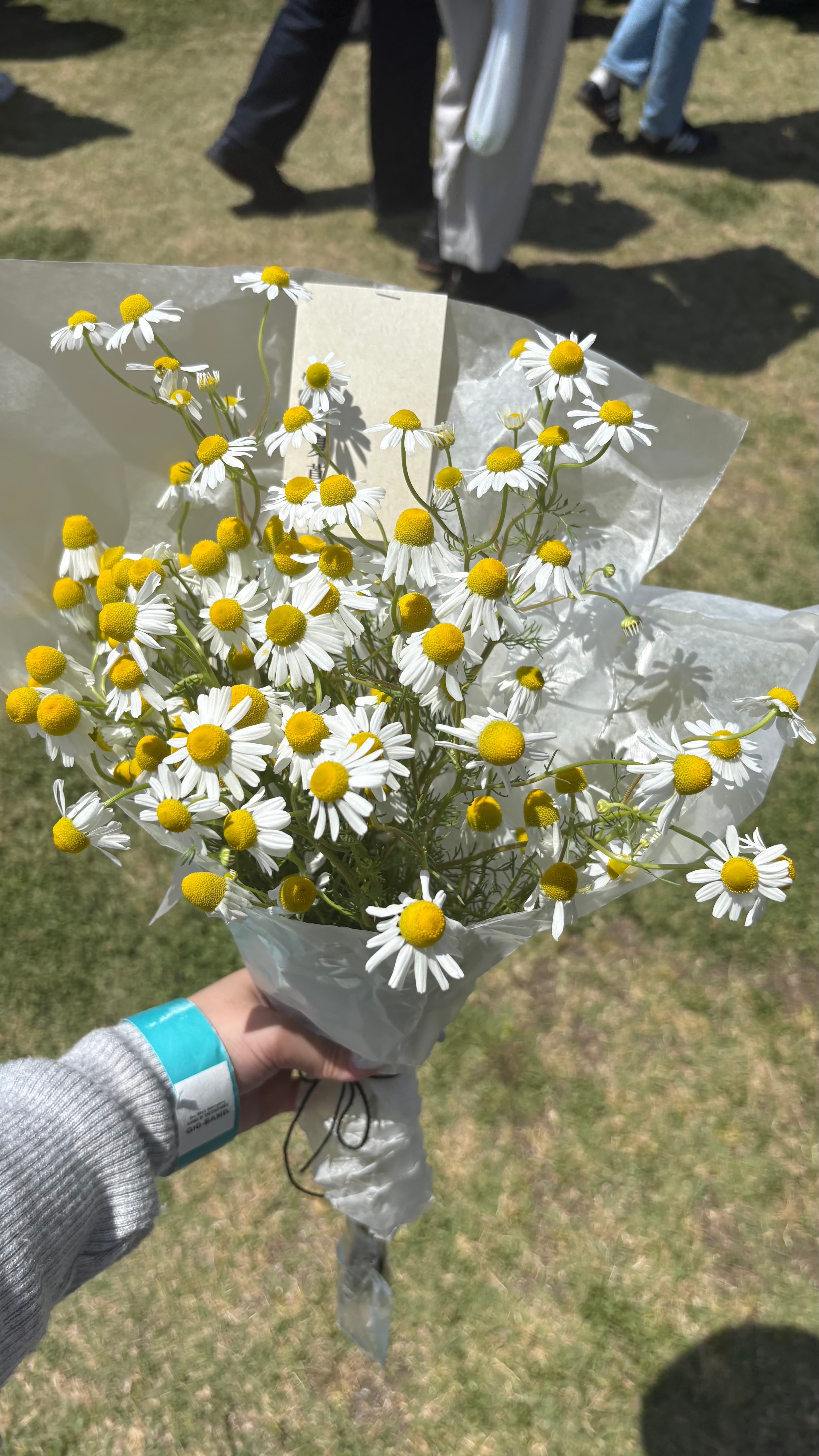 蚤の市に行ってきた🌱